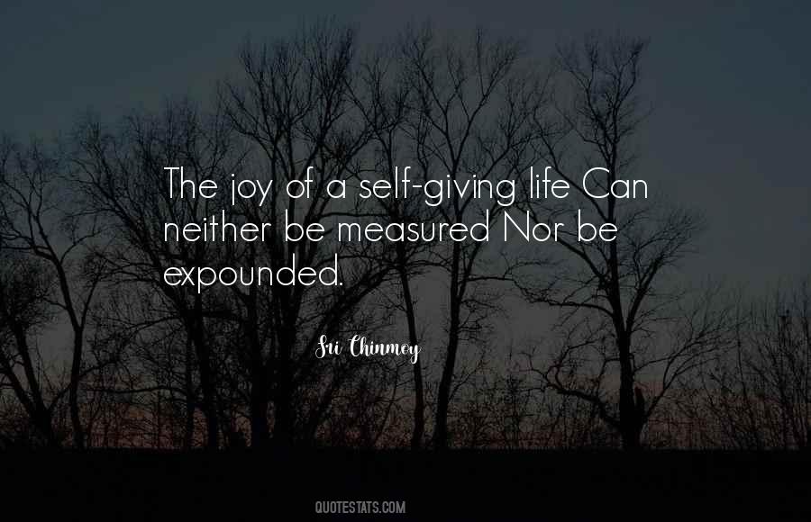 Quotes About The Joy Of Giving #300157