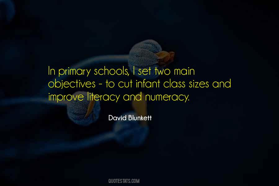 Quotes About Literacy And Numeracy #1485522