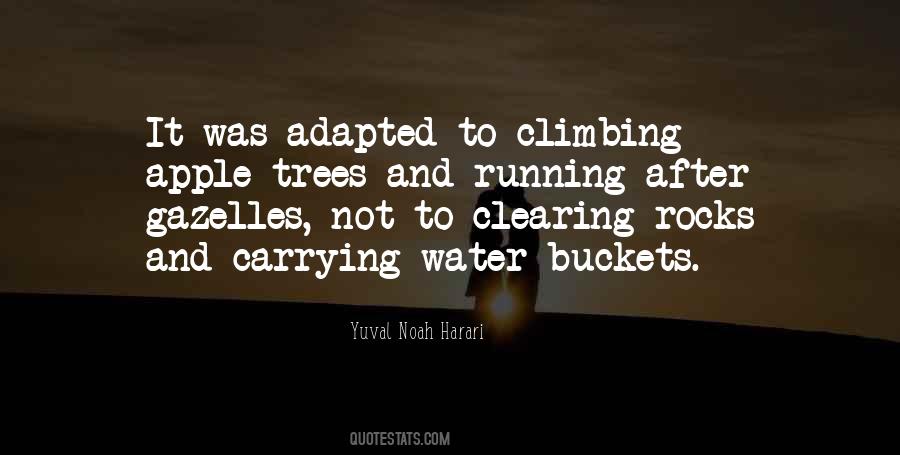 Quotes About Trees And Water #554232