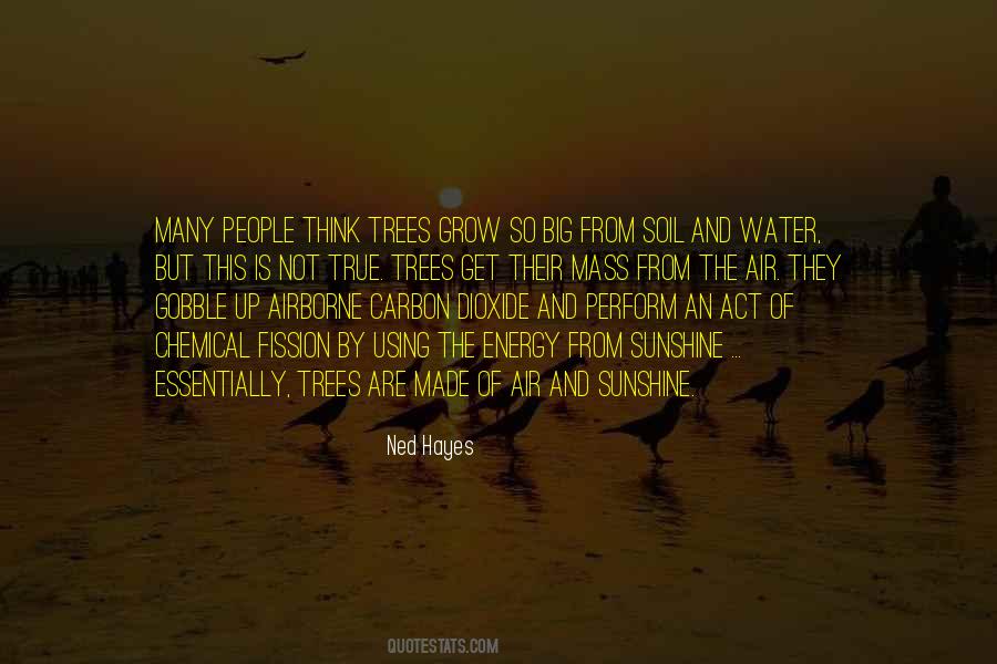 Quotes About Trees And Water #929765