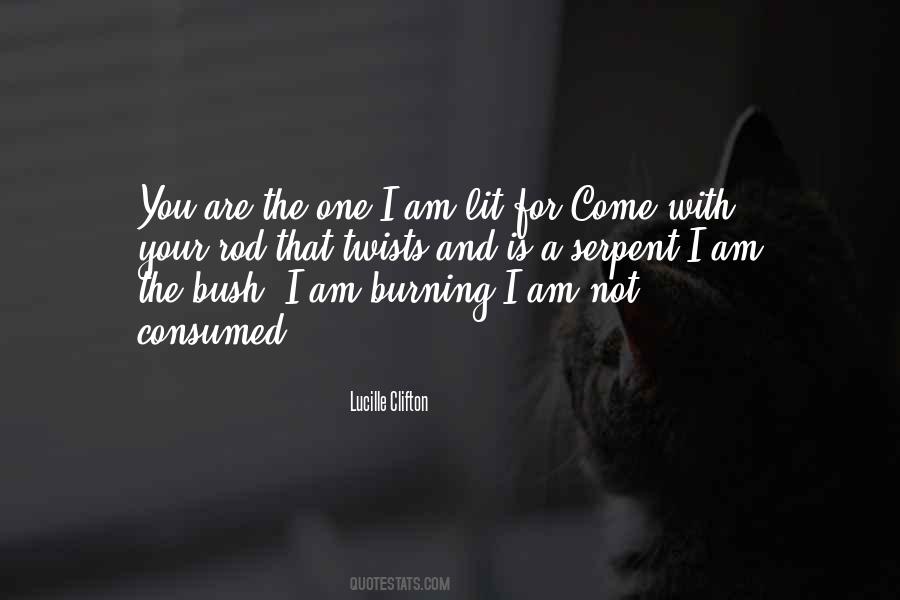 Quotes About Twists #1403300