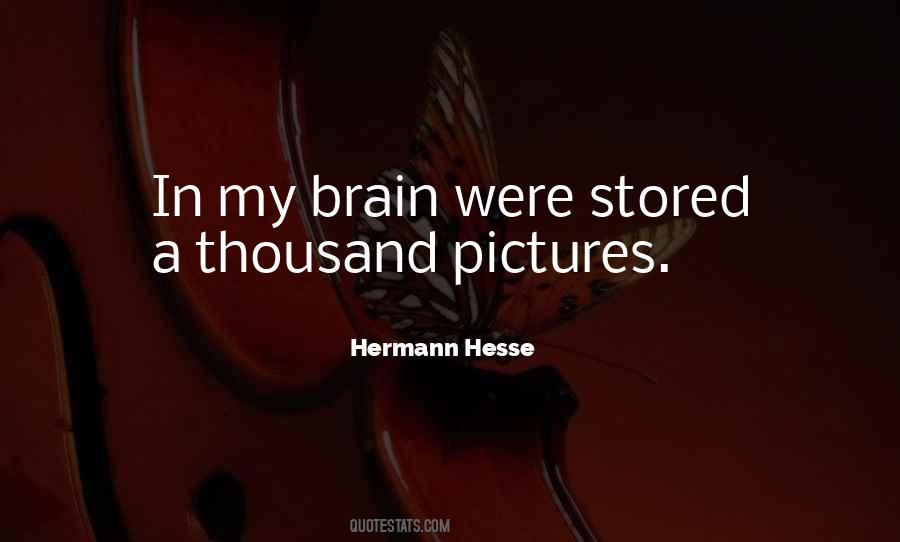 Pictures Of Life Quotes #1308094