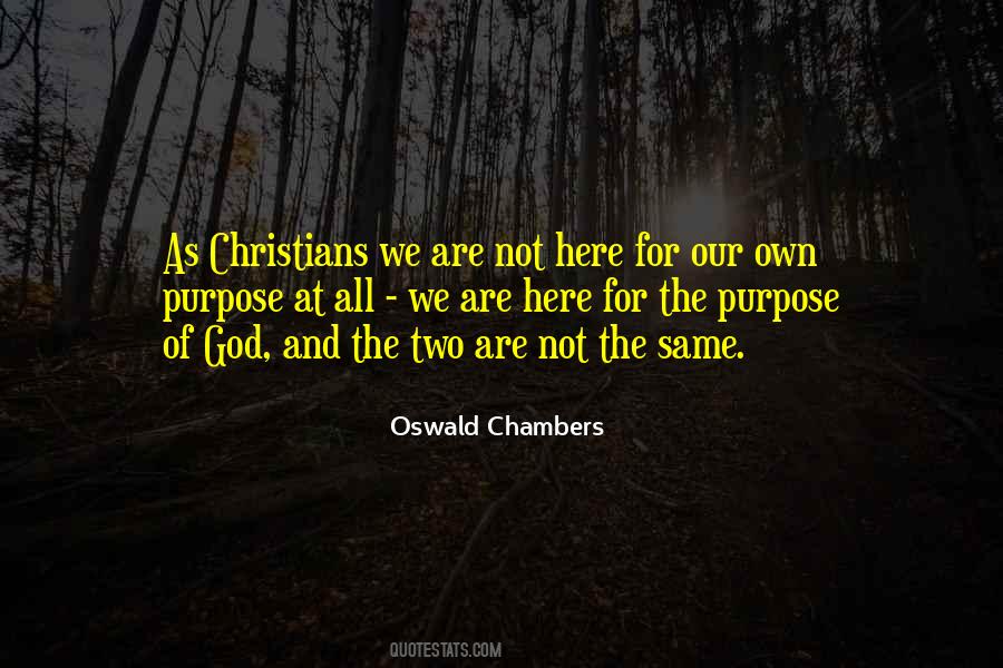 Egalitarianism Vs Complementarianism Quotes #135745