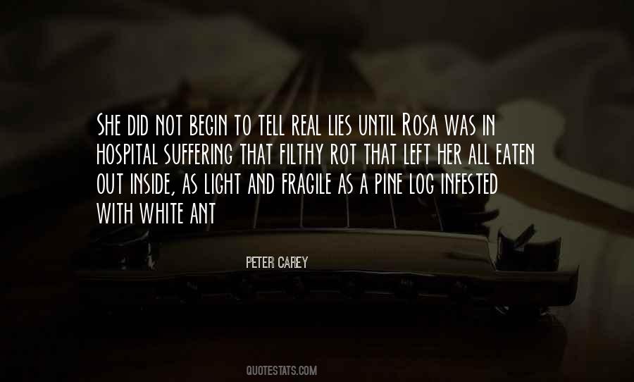Quotes About Inside And Out #121361 Quotes About Inside And Out #121361