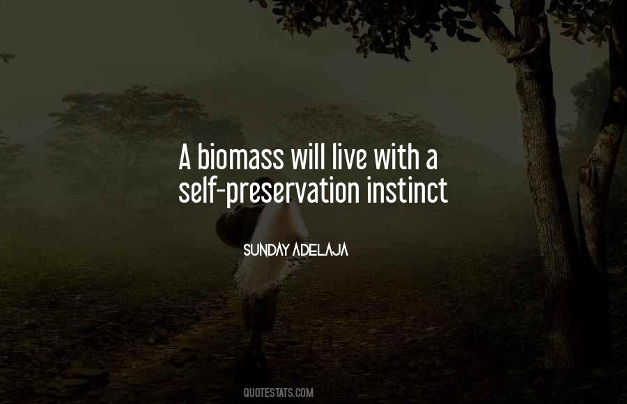 Quotes About Preservation #1373371