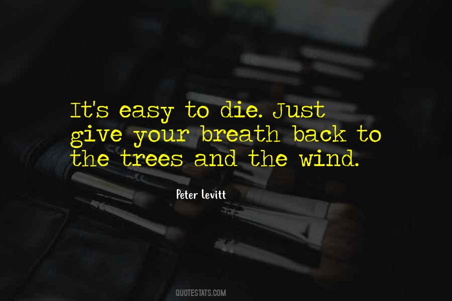 Wind At Your Back Quotes #237939