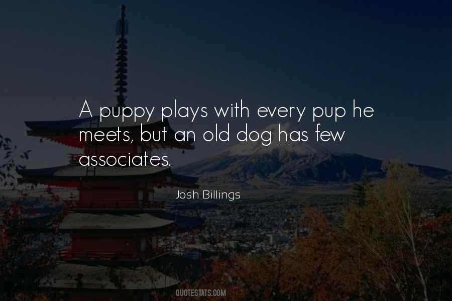 A Puppy Quotes #1541462