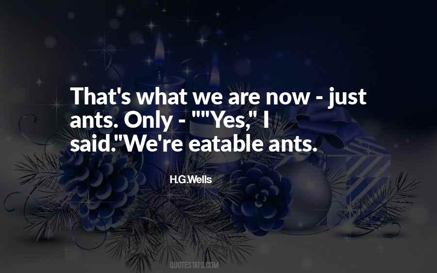 Quotes About Seeking Understanding #306457