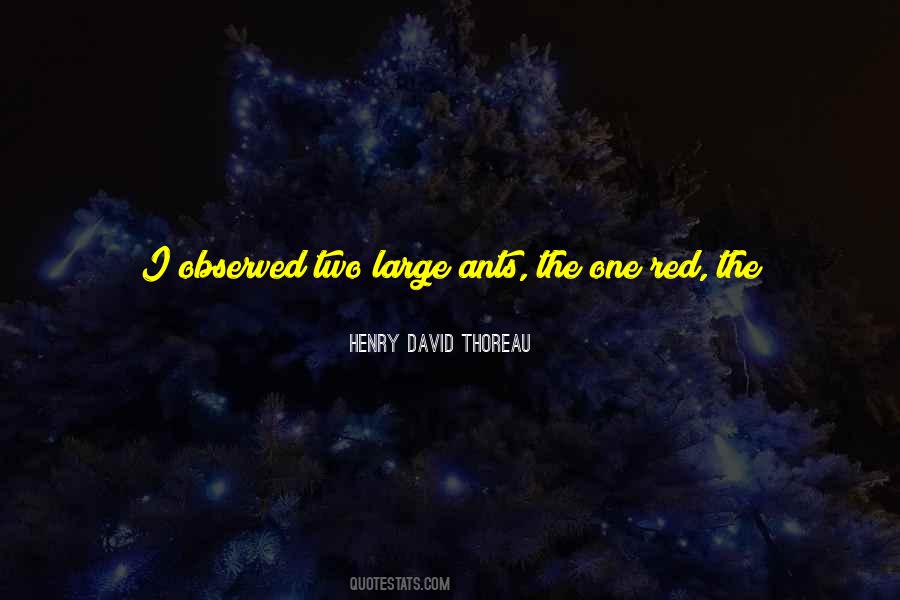 Quotes About Seeking Understanding #881430
