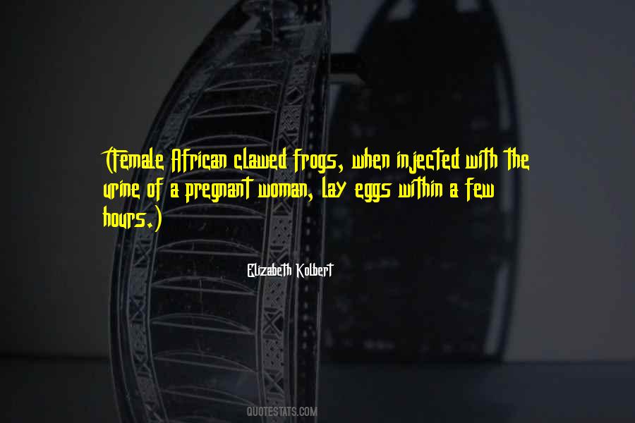 Pregnant Woman Quotes #1704999