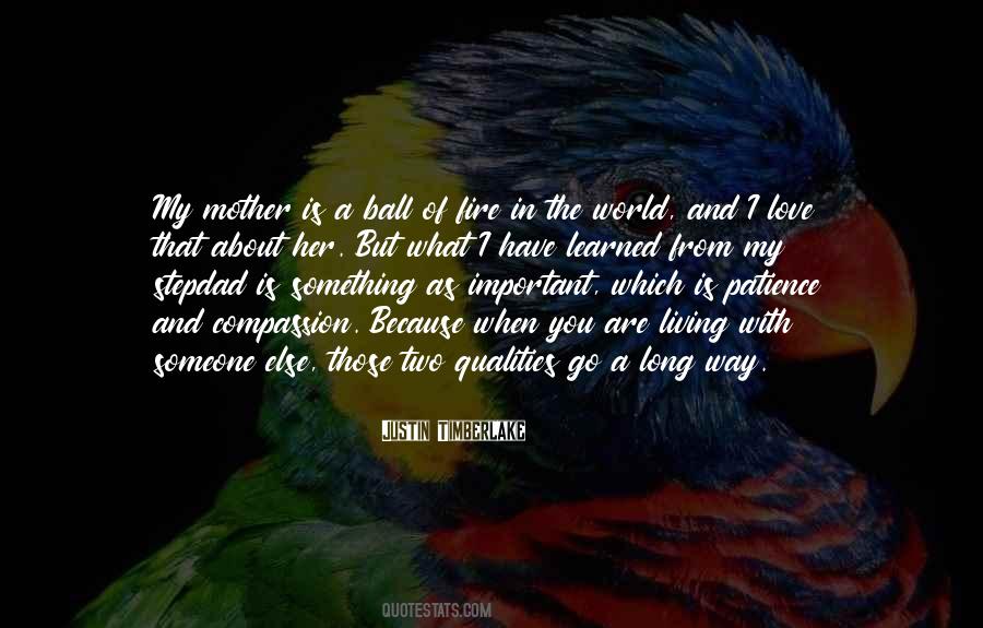 Quotes About The Love Of A Mother #122043