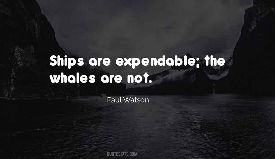 Quotes About Expendable #485902