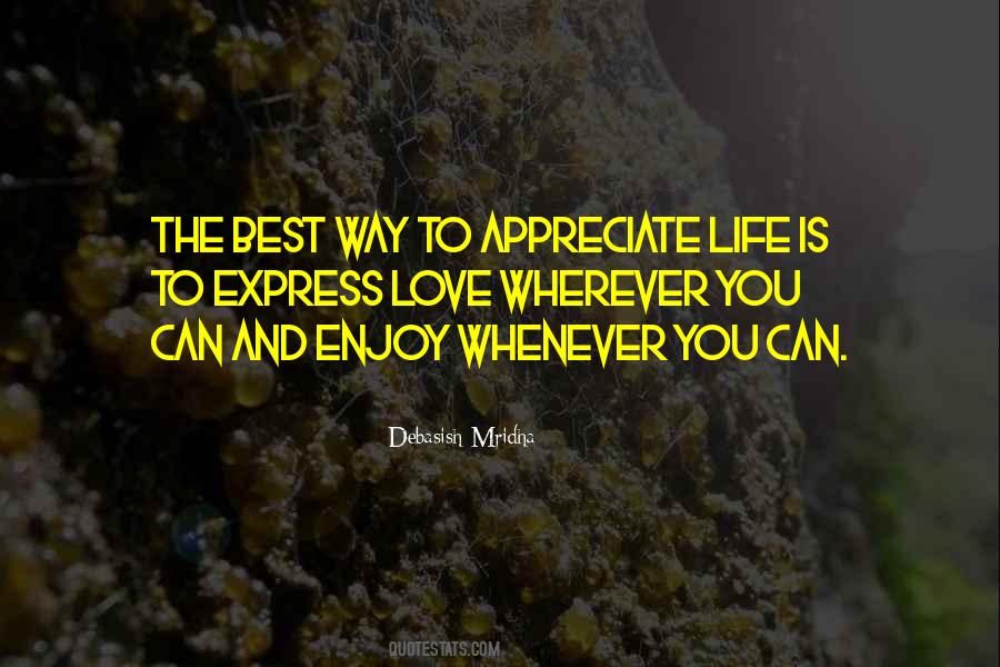 Enjoy And Appreciate Quotes #838087