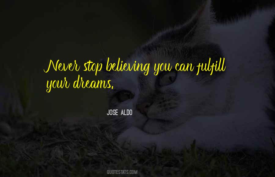 Fulfill Your Dream Quotes #1384327