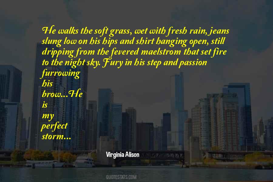Quotes About A Perfect Storm #952361