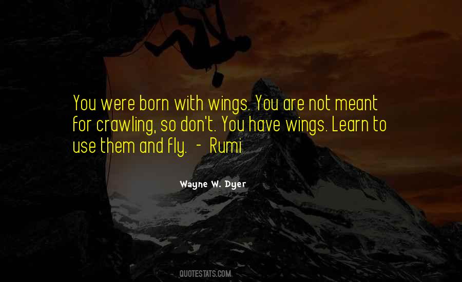 Quotes About Born To Fly #1663191