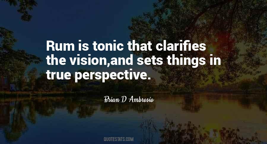 Quotes About Seeing Things From A Different Perspective #110561