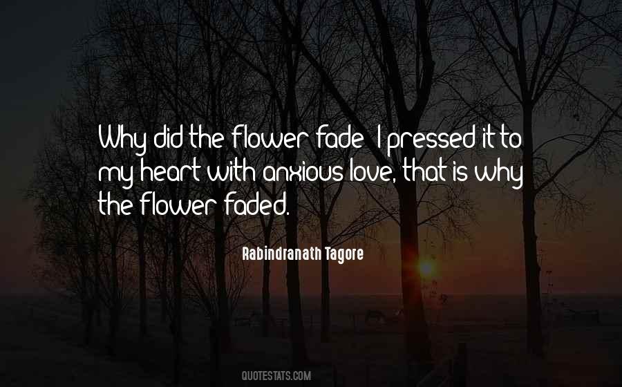 Quotes About Faded Love #817676