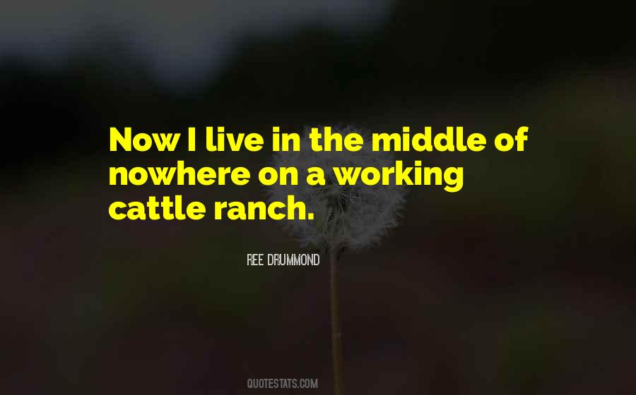 Working Cattle Quotes #1223828