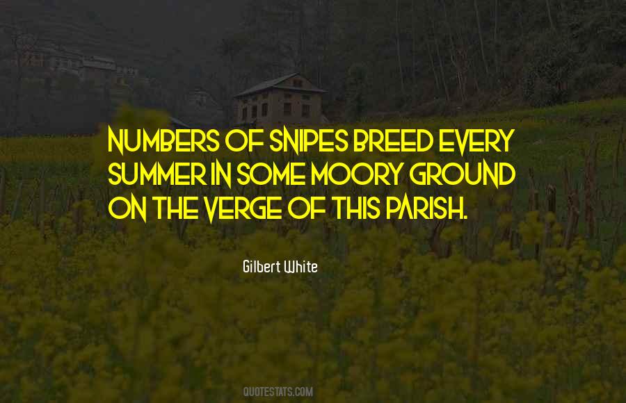 Quotes About Numbers #1592953