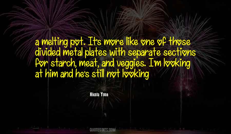 Quotes About Melting Pot #1247400