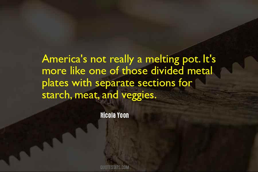 Quotes About Melting Pot #1321090
