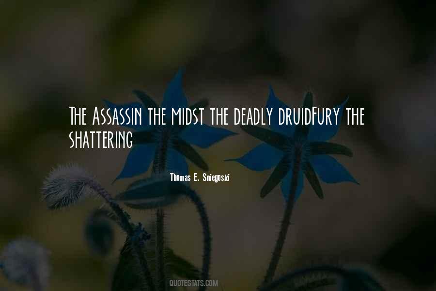 The Assassin Quotes #1004060