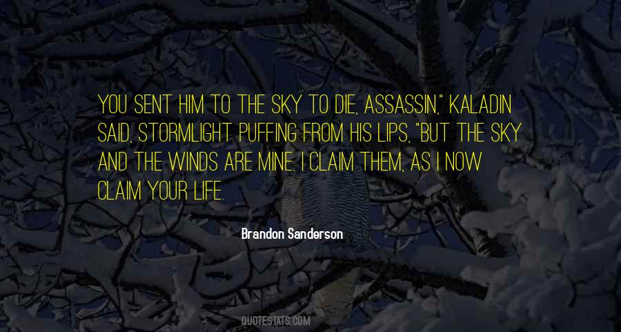 The Assassin Quotes #220717