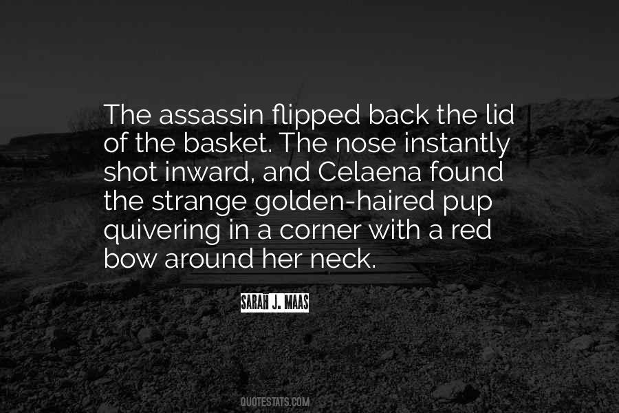 The Assassin Quotes #419260