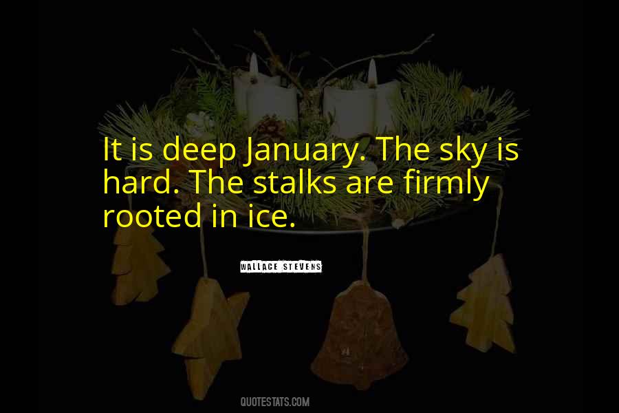 Quotes About January #997578