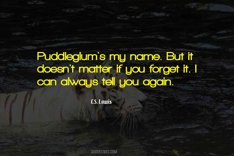 Quotes About Puddleglum #770120