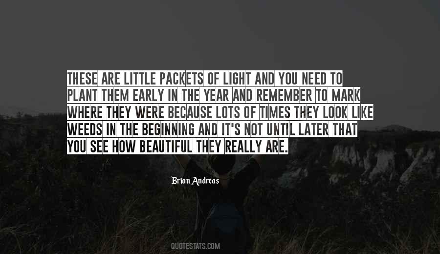 Beautiful Beginning Quotes #1512263