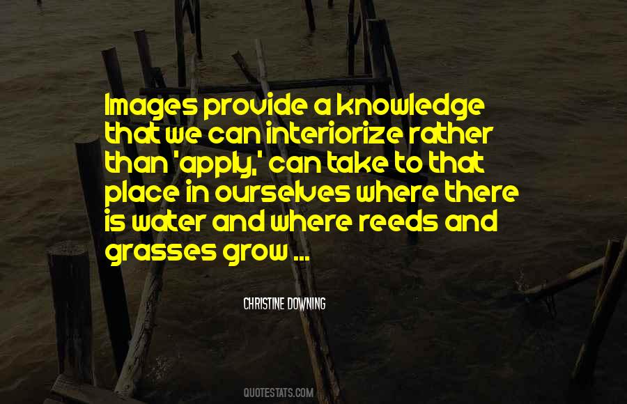 Quotes About Grasses #1446939