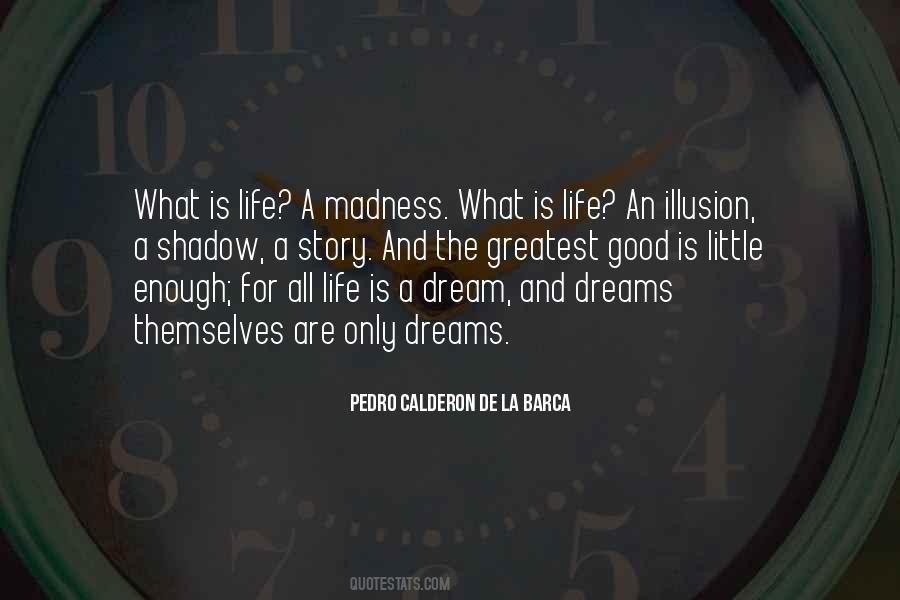 Life Is A Dream Quotes #995996
