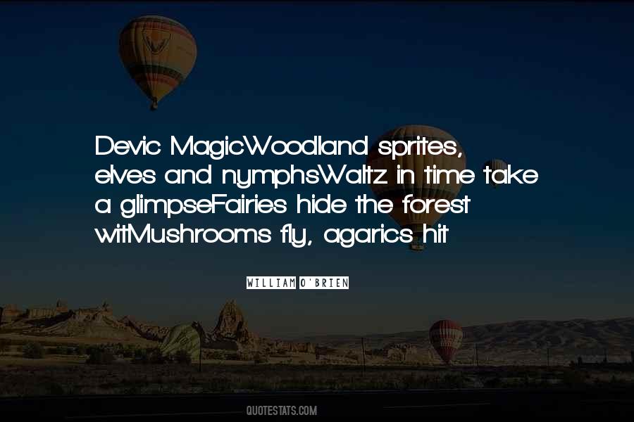 Quotes About Forest Fairies #774837