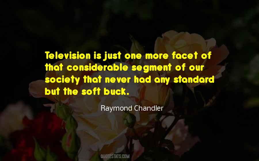 Quotes About Television And Society #1433485