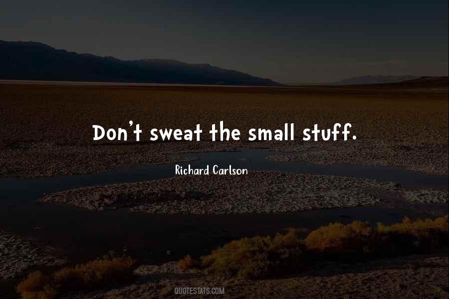 Quotes About Don't Sweat The Small Stuff #405567