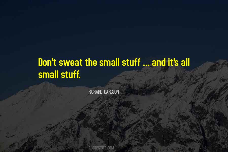 Quotes About Don't Sweat The Small Stuff #473464