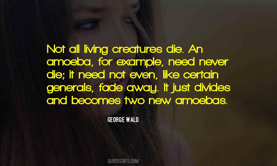 Quotes About Example #31846 Quotes About Example #31846