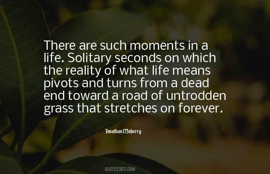 Quotes About Solitary Life #282415