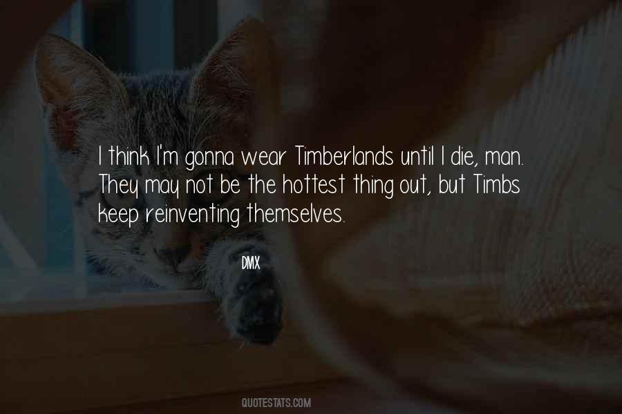 Reinventing Myself Quotes #738175