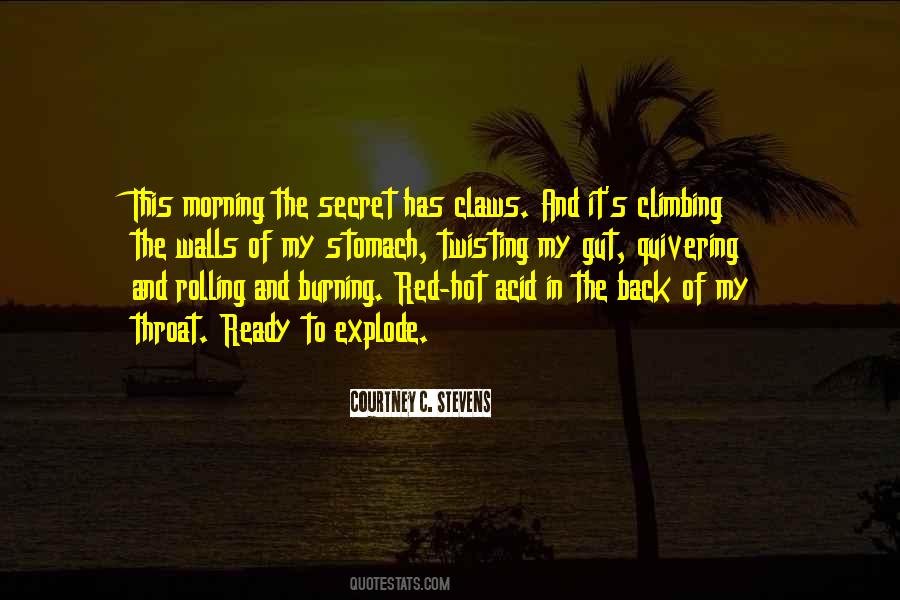 Courtney Stevens Quotes #1151769