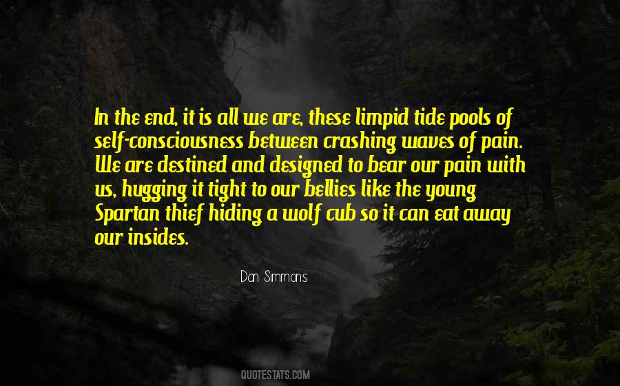 Quotes About Hiding My Pain #57128