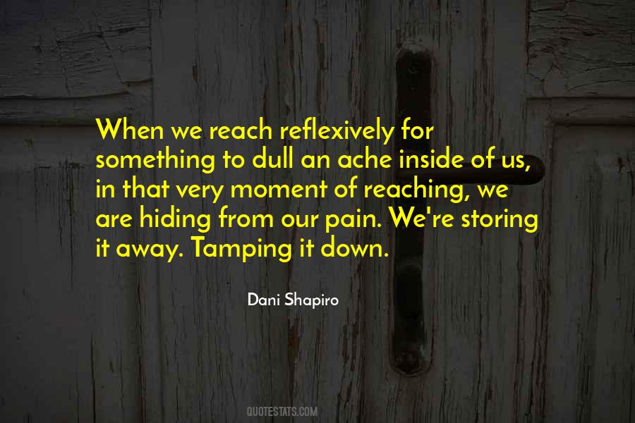 Quotes About Hiding My Pain #940016