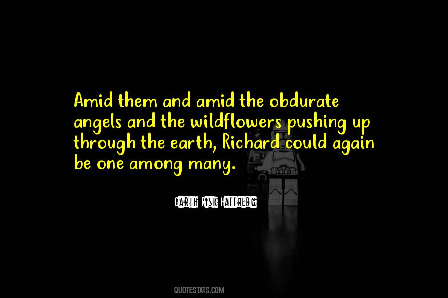 Quotes About Pushing Through #1230145