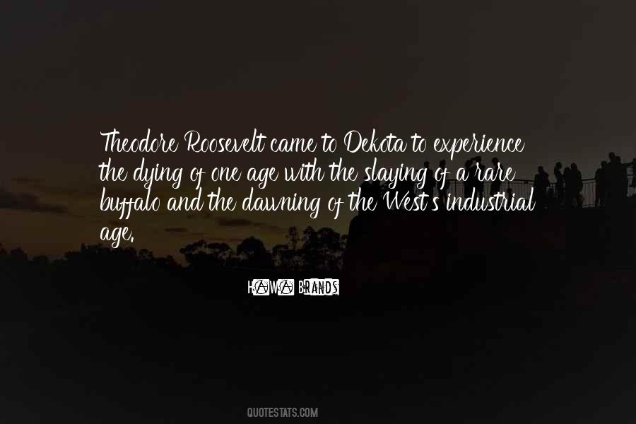 Industrial Age Quotes #381344