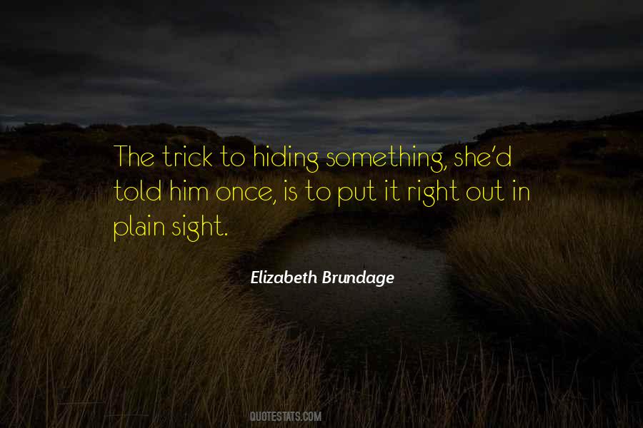 Quotes About Hiding In Plain Sight #429018