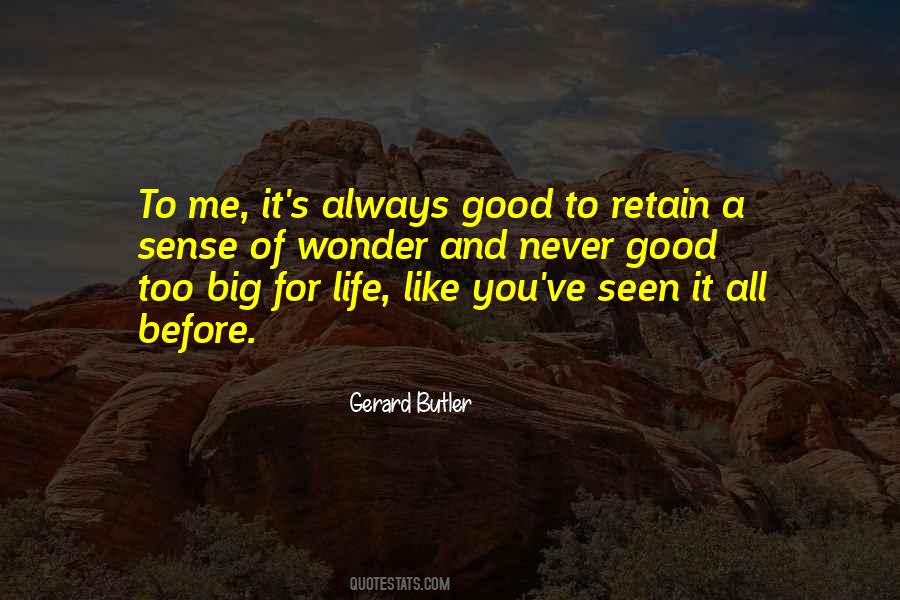 Everyday Hero Quotes #873850