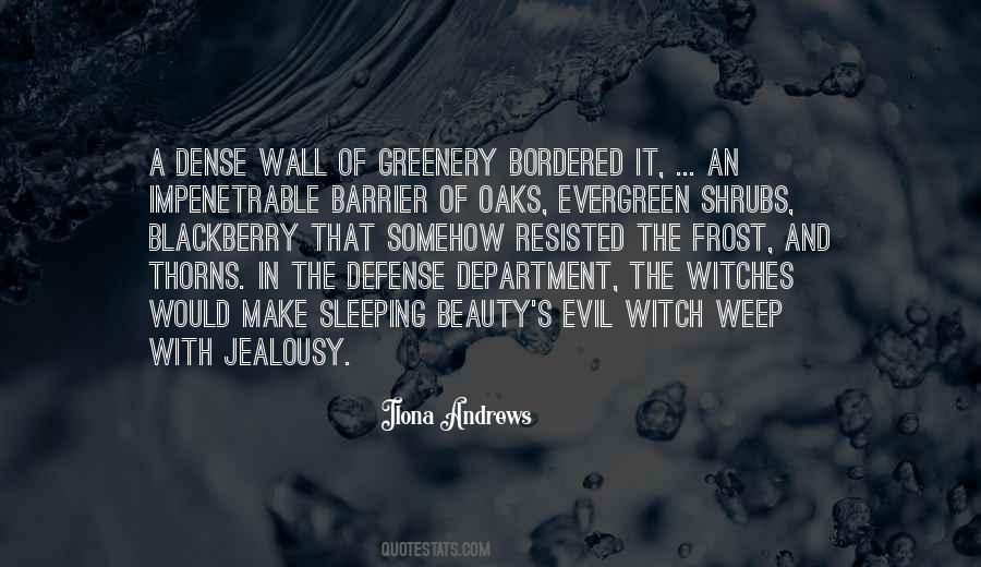 Quotes About Evil Witches #1643786