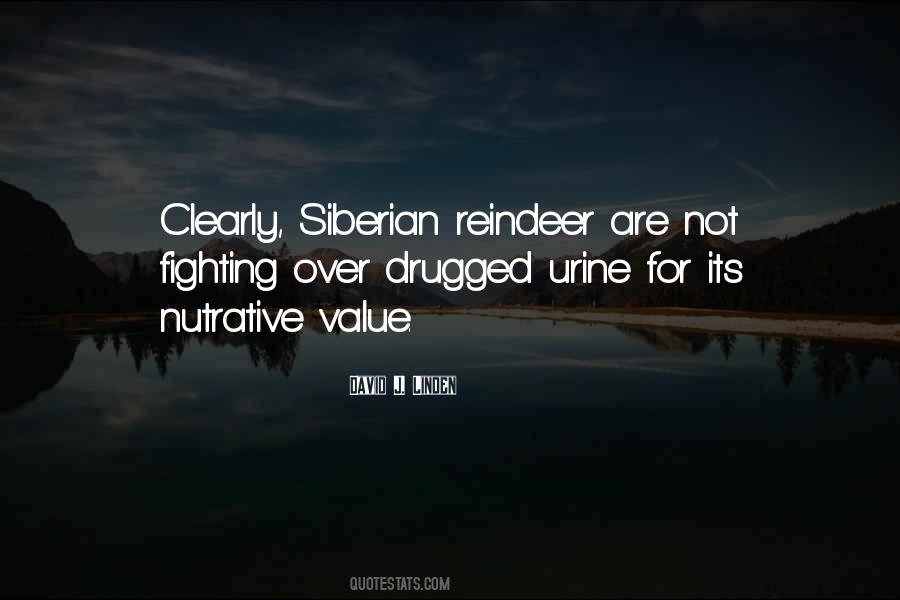 Quotes About Not Fighting #1123716